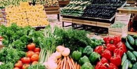 ناشناخته بودن ۴ سم در روسیه عامل برگشت محصولات ایرانی