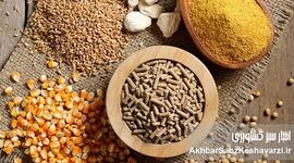 وزارت جهاد کشاورزی؛ عامل توقف تولید غذای سالم در کشور