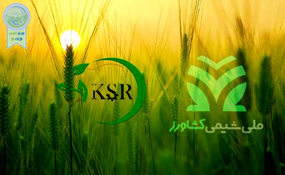 همکاری «ملی شیمی کشاورز» و «کیمیای سبز رفسنجان» برای تولید کودهای استاندارد

