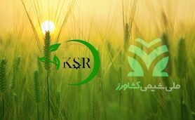 همکاری «ملی شیمی کشاورز» و «کیمیای سبز رفسنجان» برای تولید کودهای استاندارد

