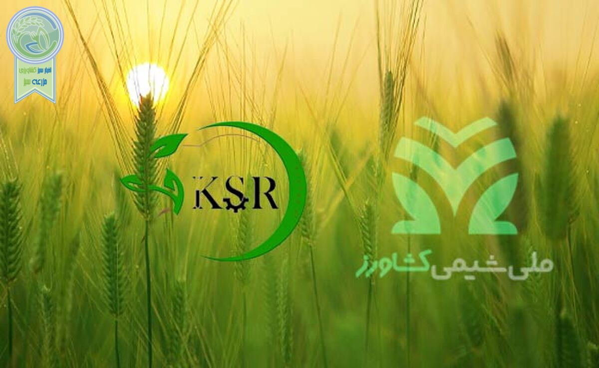 همکاری «ملی شیمی کشاورز» و «کیمیای سبز رفسنجان» برای تولید کودهای استاندارد

