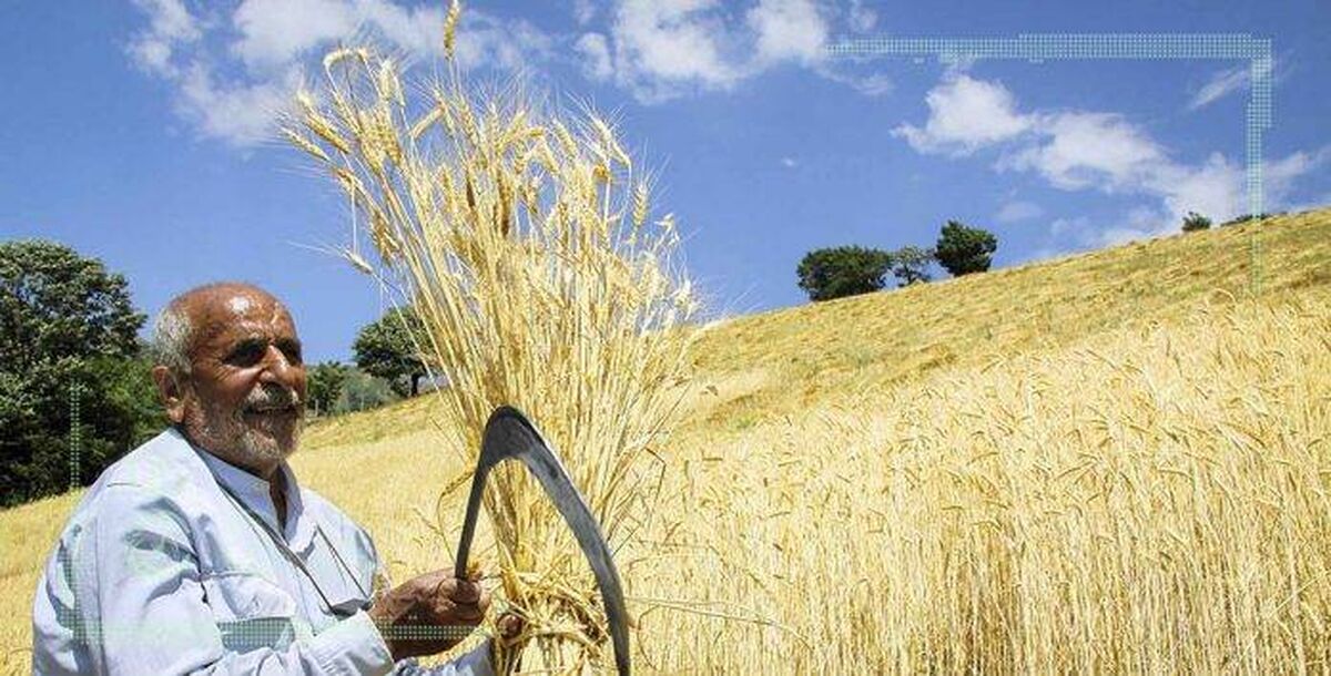 ۷۰ درصد تولید کشور به‌صورت سنتی است