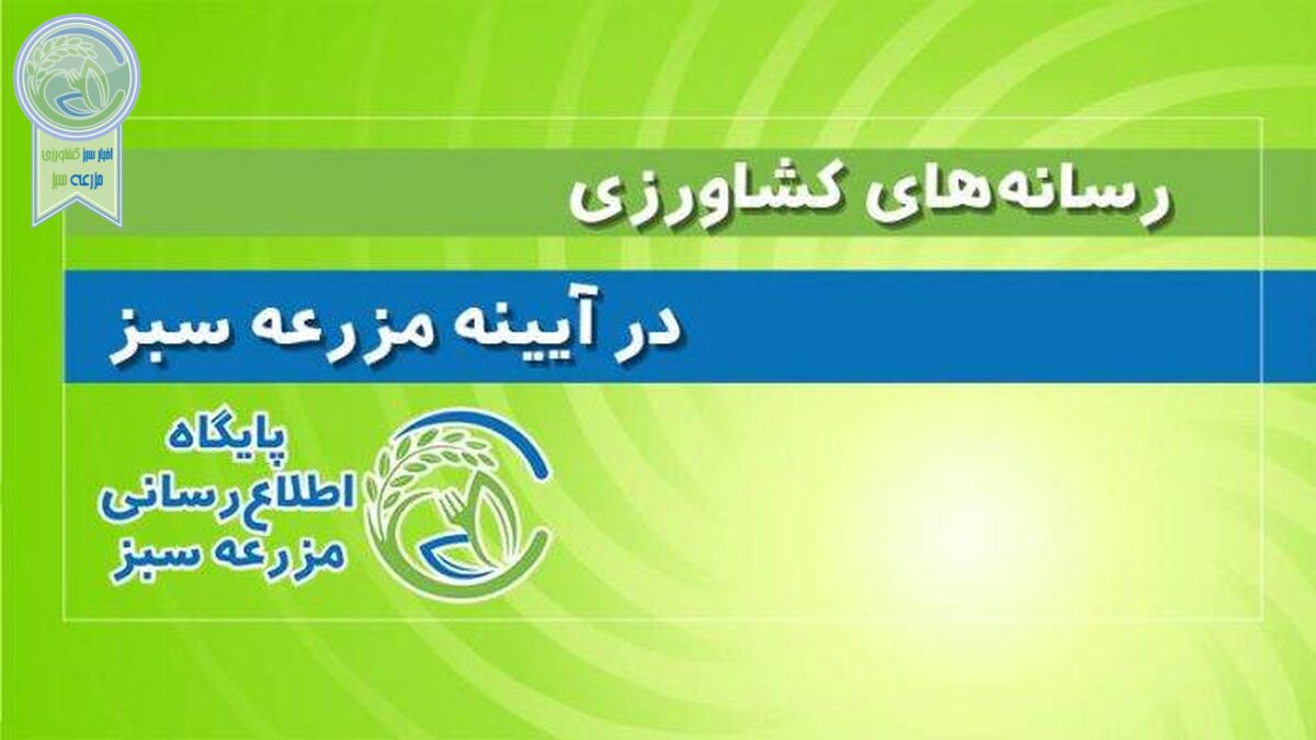 خرید و توزیع هوشمند میوه شب عید؛ چگونه و به چه قیمتی؟