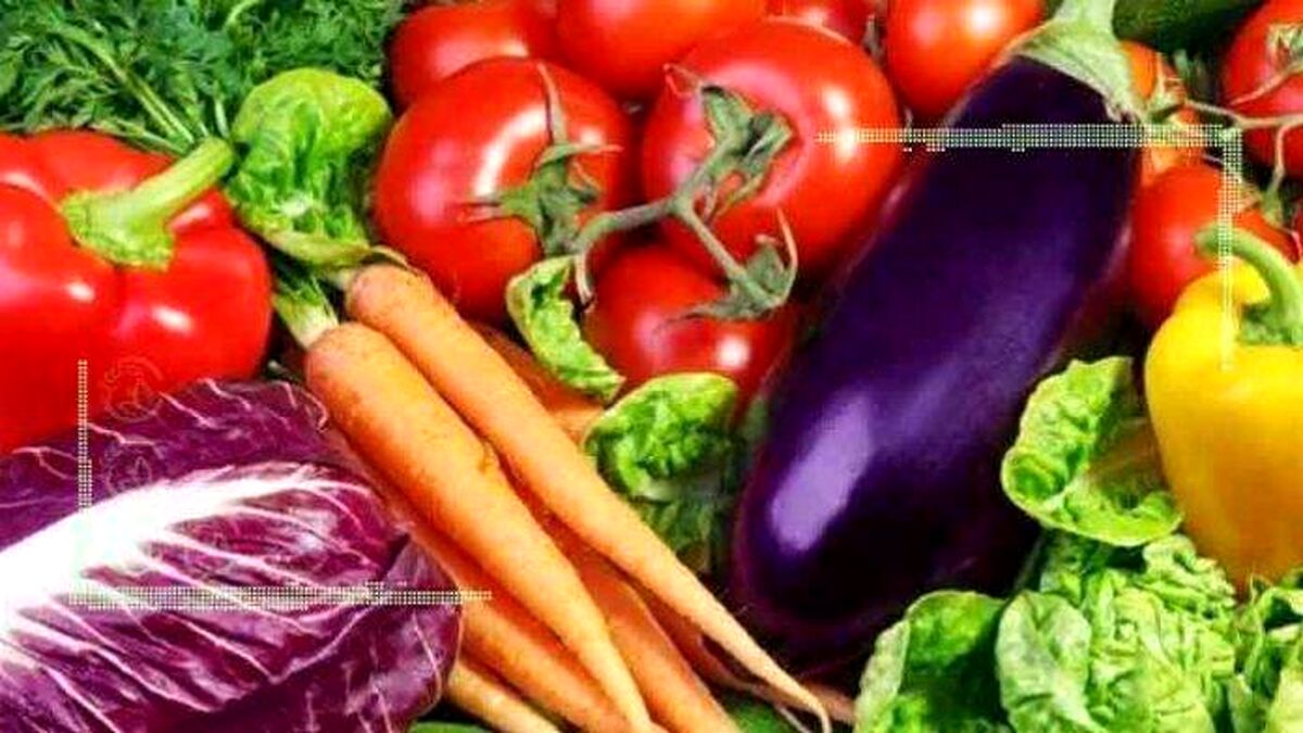 امکان صادرات محصول به بازارهای پرقدرت را نداریم