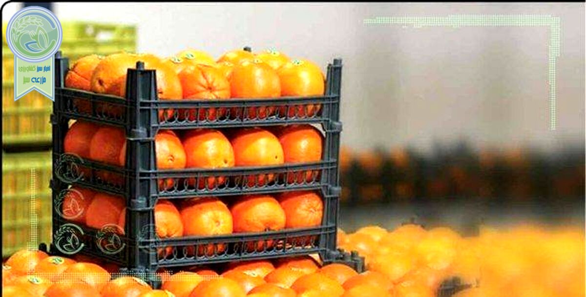بازرسی 4 ماهه در سازمان تعاون روستایی و ۵ میلیارد تومان