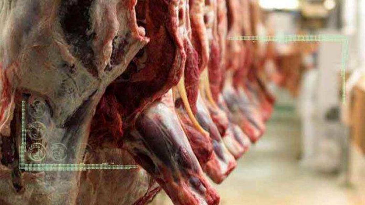 عقب‌نشینی قیمت گوشت پس از توزیع اینترنتی