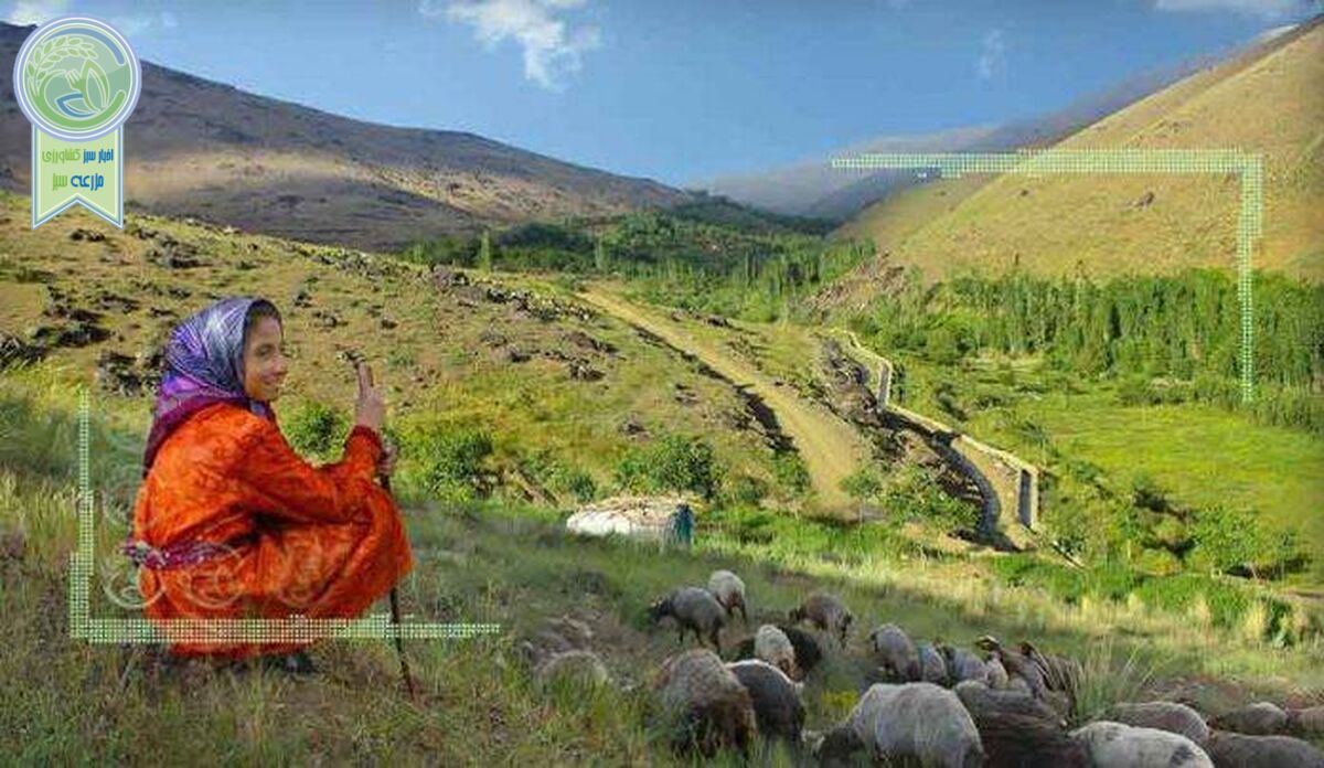 نهضتی برای آبادانی روستاها