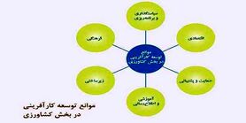 توسعه کارآفرینی کشاورزی؛ موانع و راه‌کارها
