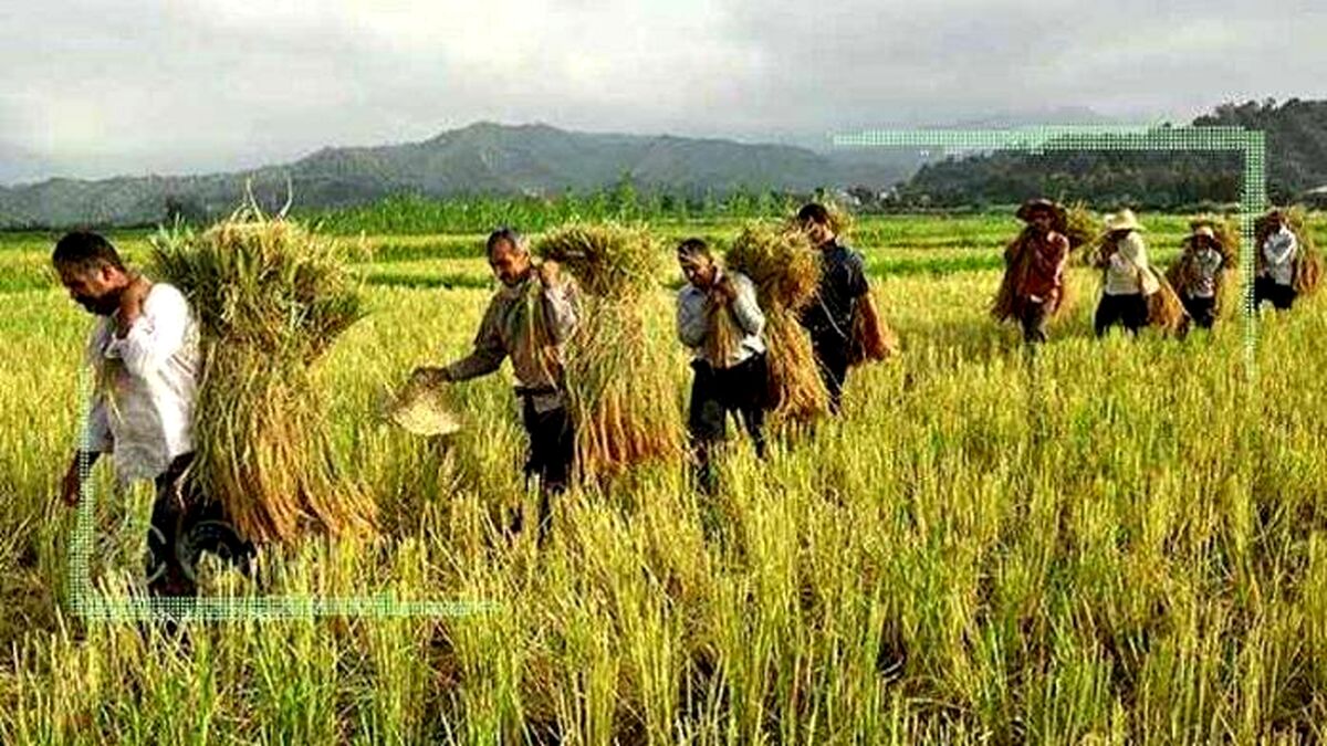 گذر از کشاورزی سنتی تنها راه برون رفت از تنش‌های آبی