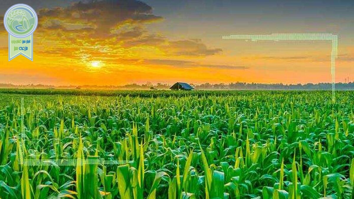 کشاورزی حفاظتی؛ رویکردی برای حراست از آب و خاک