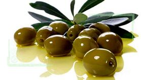 سبقت بی‌جای اجرا از تحقیقات، مشکل درختان زیتون