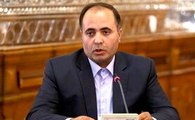 ارز مورد نیاز وزارت جهاد کشاورزی در بودجه امسال محقق شد

