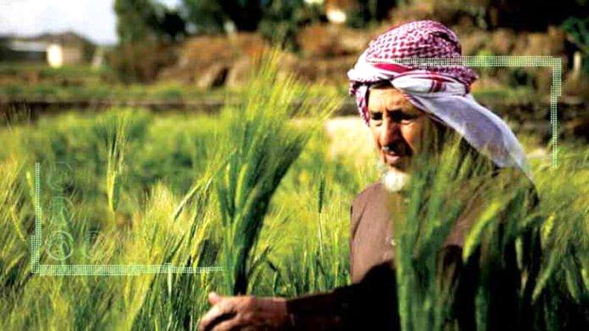 عربستان، ما و دیپلماسی کشاورزی