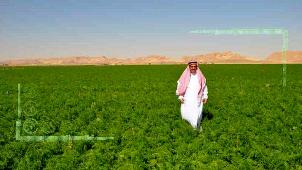عربستان، تغییرات پارادایمیک در ژئوپلیتیک خشک و پایداری کشاورزی
