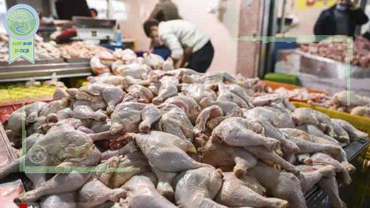 قیمت انواع مرغ در ۲۰ فروردین ۱۴۰۲