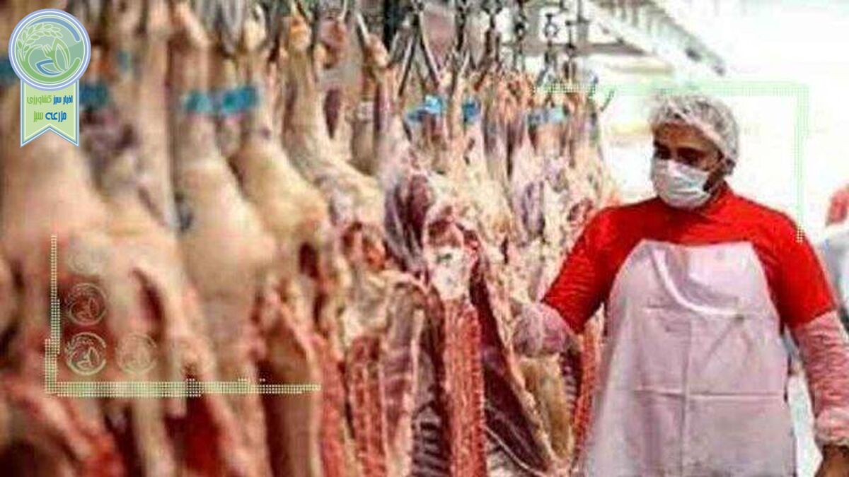 قیمت‌ گوشت قرمز کاهشی شد؟