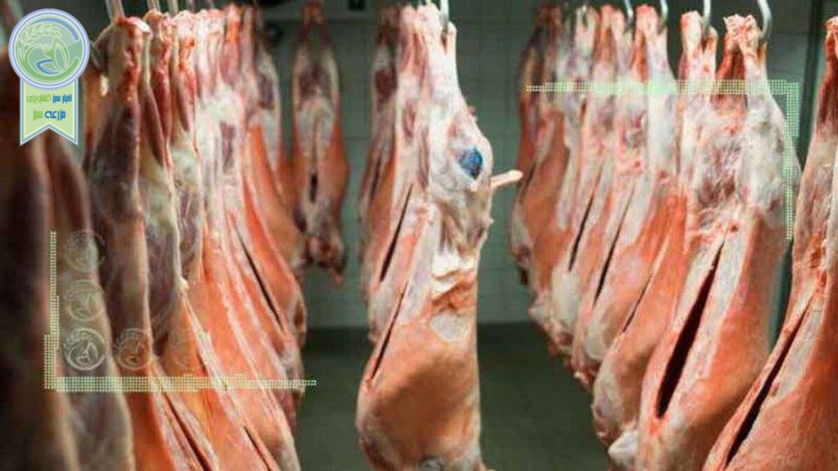قیمت روز گوشت قرمز در ۲۱ فروردین ۱۴۰۲