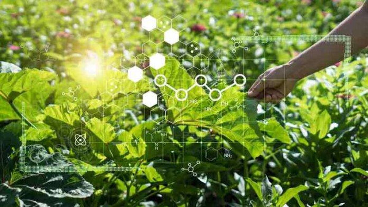 جذابیت‌های دنیای نانو