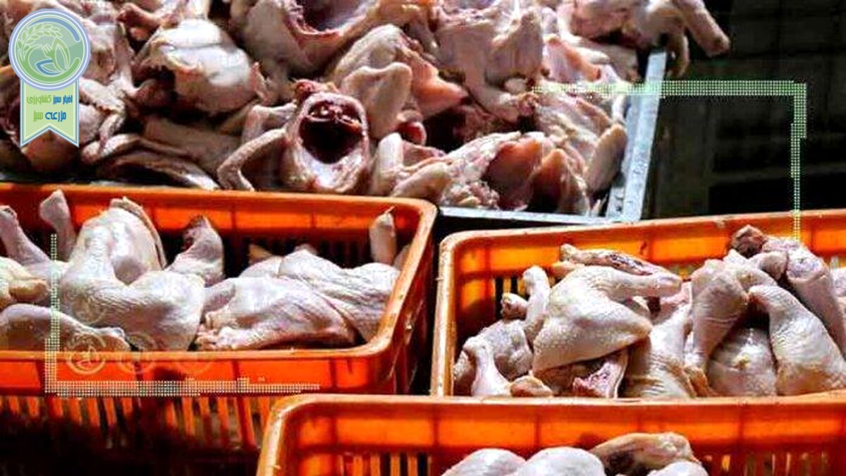 خداحافظی با قیمت‌های دستوری مرغ و تخم‌مرغ