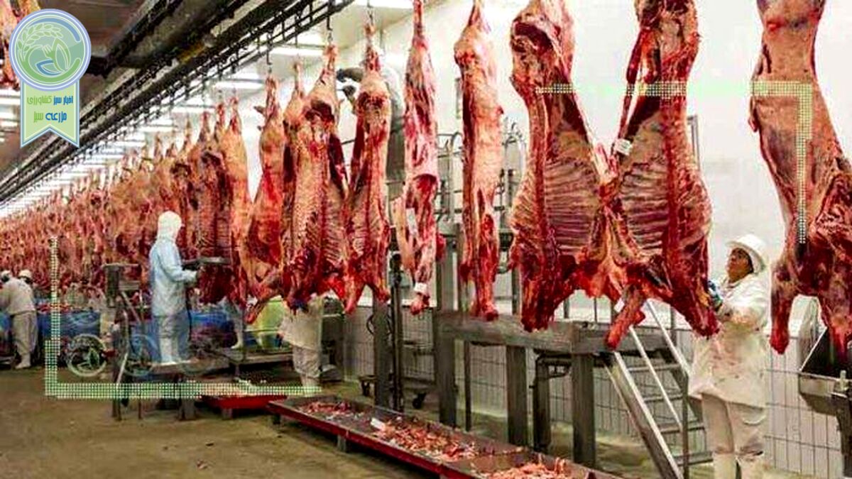 قیمت روز گوشت قرمز در ۴ اردیبهشت ۱۴۰۲