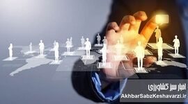 چرا برقراری ارتباط موثر در سازمان اهمیت دارد؟