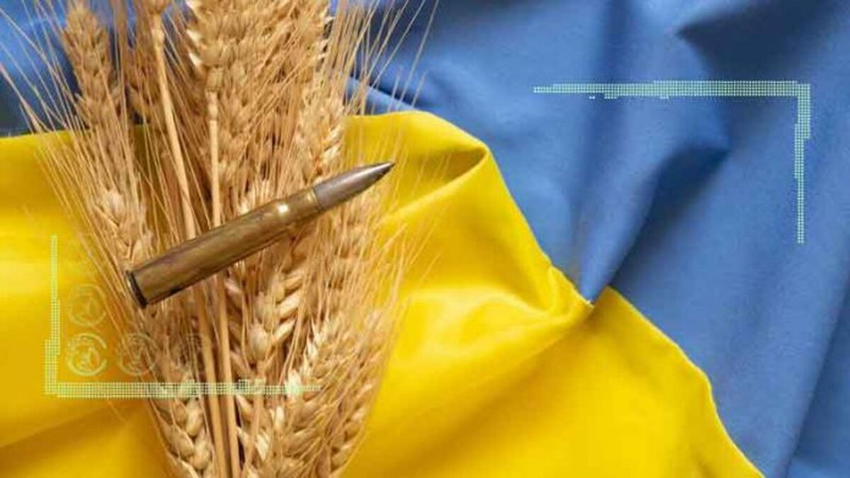 تبعات جنگ روسیه و اوکراین در عرضه گندم+نمودار
