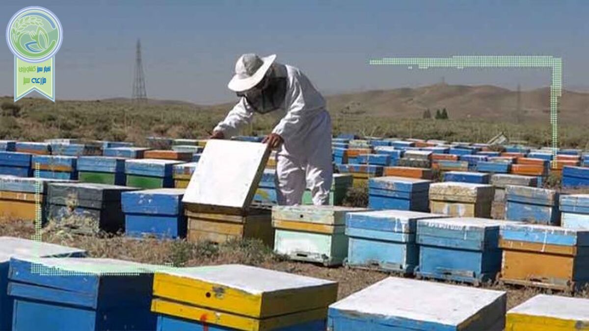 بانوان زنبوردار خستگی‌ناپذیر در عرصه تولید