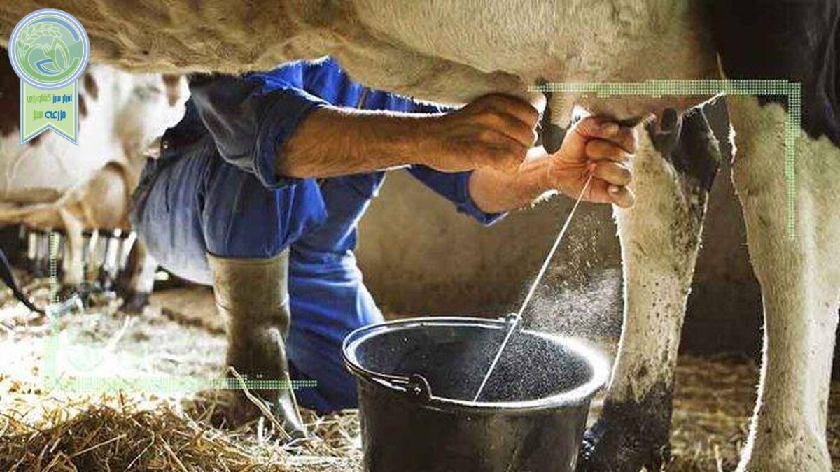 قیمت 12هزار تومان شیر کفاف هزینه‌های تولید را نمی‌دهد