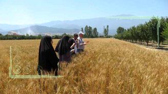 بازدید دانشجویان دانشگاه تربیت مدرس از مزارع استان گلستان