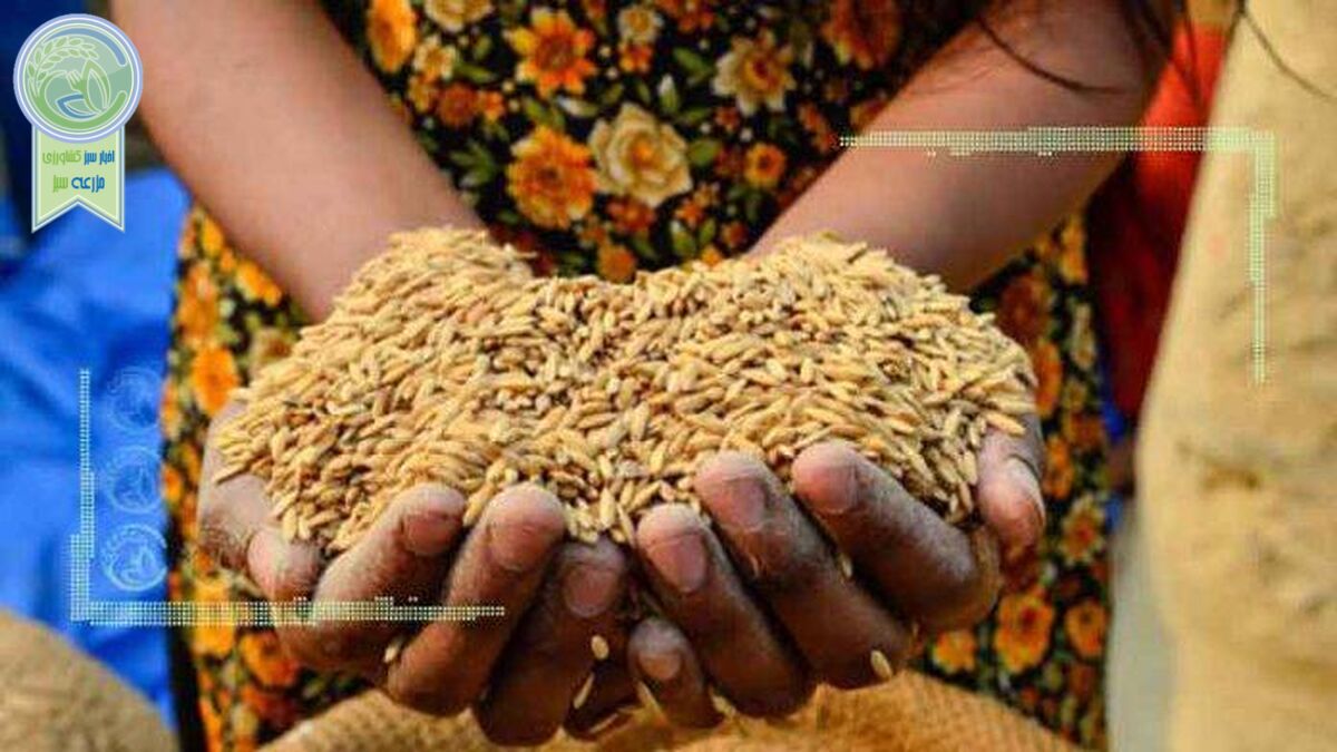 جهان درگیر بحران غذا و انرژی