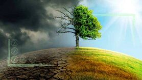 انسان مهم‌ترین عامل بحران محیط‌ زیست