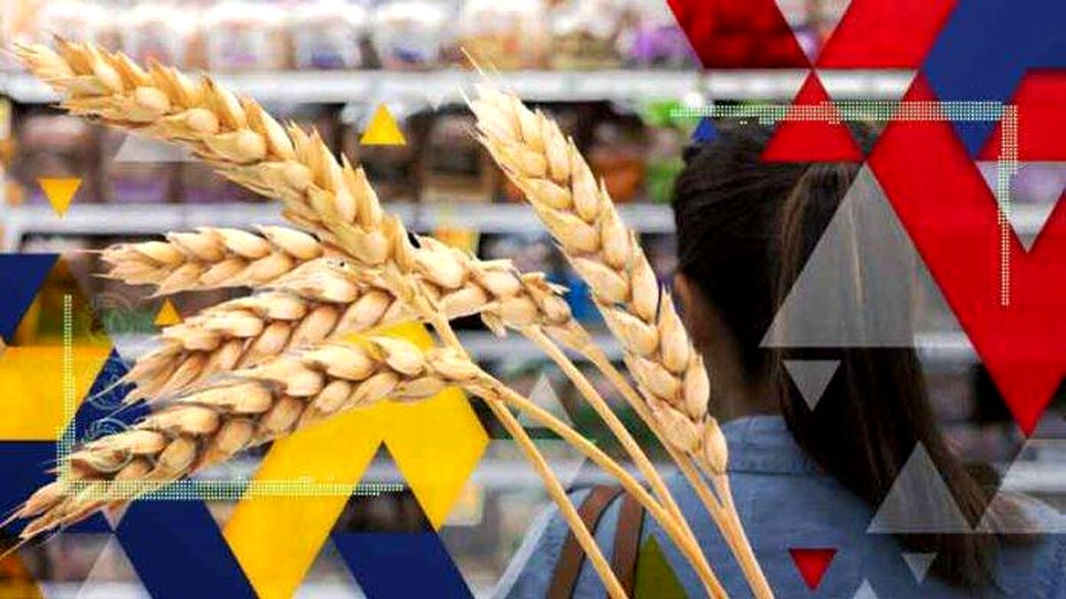 خرید گندم‌های سرقت شده