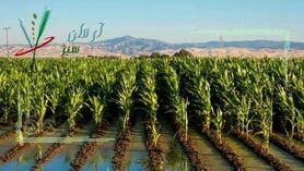 کیفیت تولیدات کشور را به سطح استاندارد جهانی برسانیم