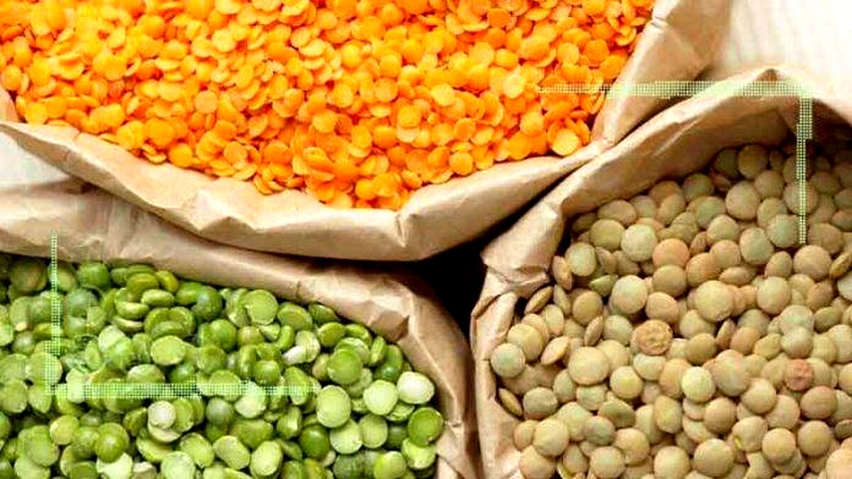 خشکسالی واردات حبوبات را افزایش داد