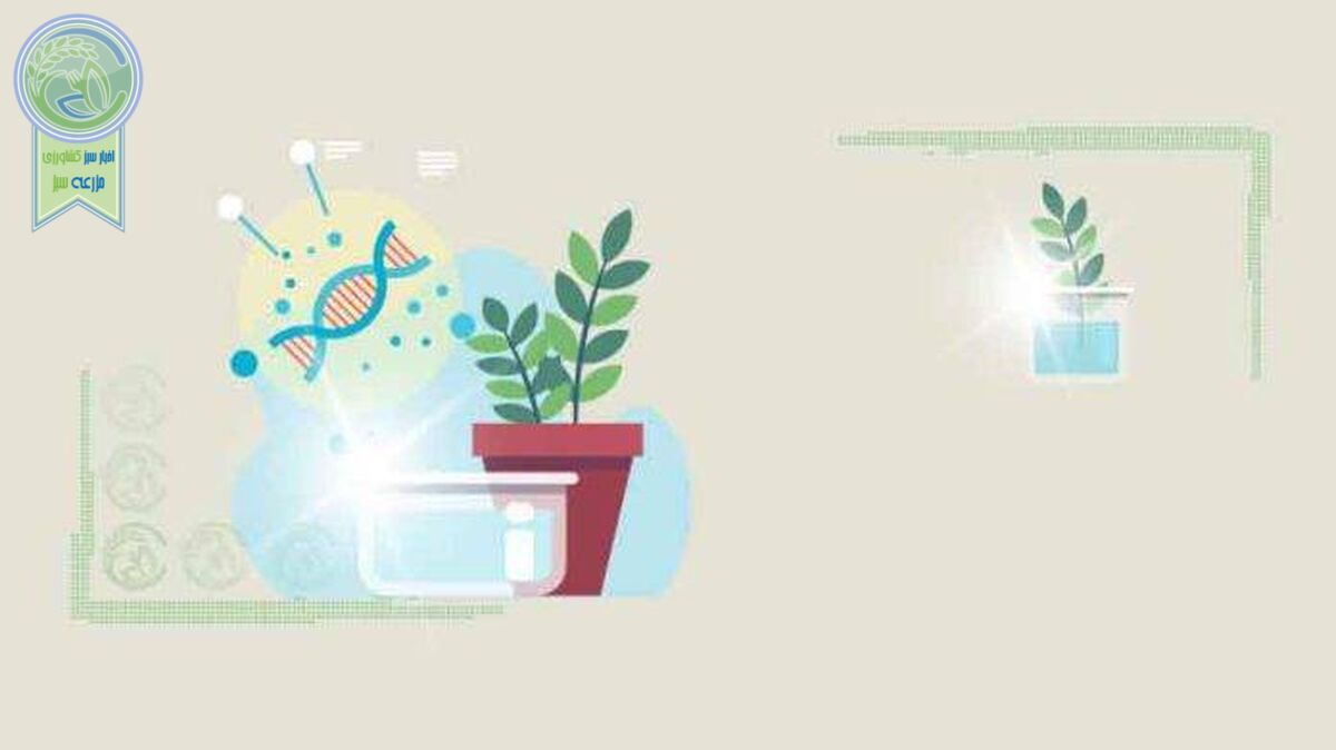 پای صحبت برخی شرکت‌های دانش‌بنیان کشاورزی