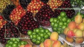 میوه‌ های تابستانی ارزان می‌شوند
