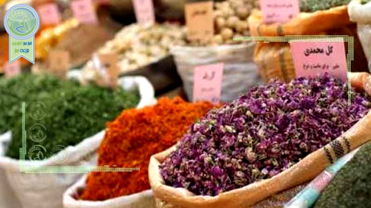 سود‌ بازار میلیاردی گیاهان دارویی در جیب خارجی‌ها