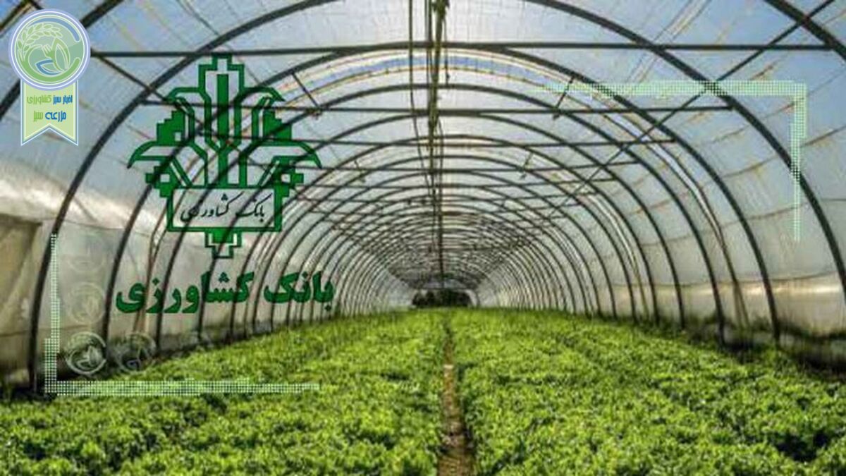 بهره‌برداری طرح‎‌های شهرک گلخانه‌ای حصار گلی با تسهیلات بانک کشاورزی