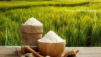 برنج ایرانی در رده ششم گران‌ترین برنج‌های جهان