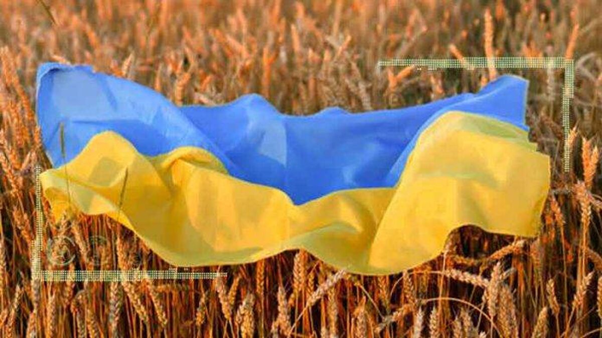 زلنسکی: کی‌یف ۱۰ میلیارد دلار غلات برای فروش دارد