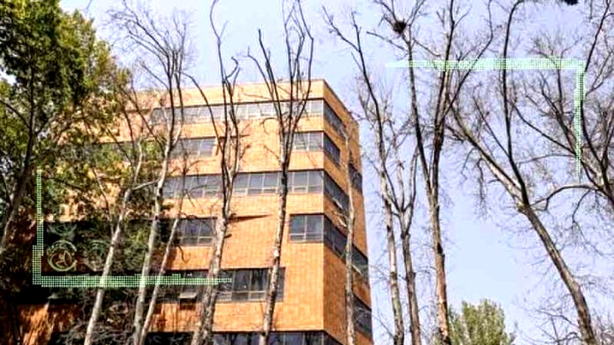 برخورد قضایی با عاملان خشک شدن درختان خیابان ولیعصر (عج)