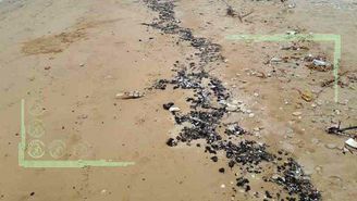 ماجرای لکه های نفتی در ساحل کنگان