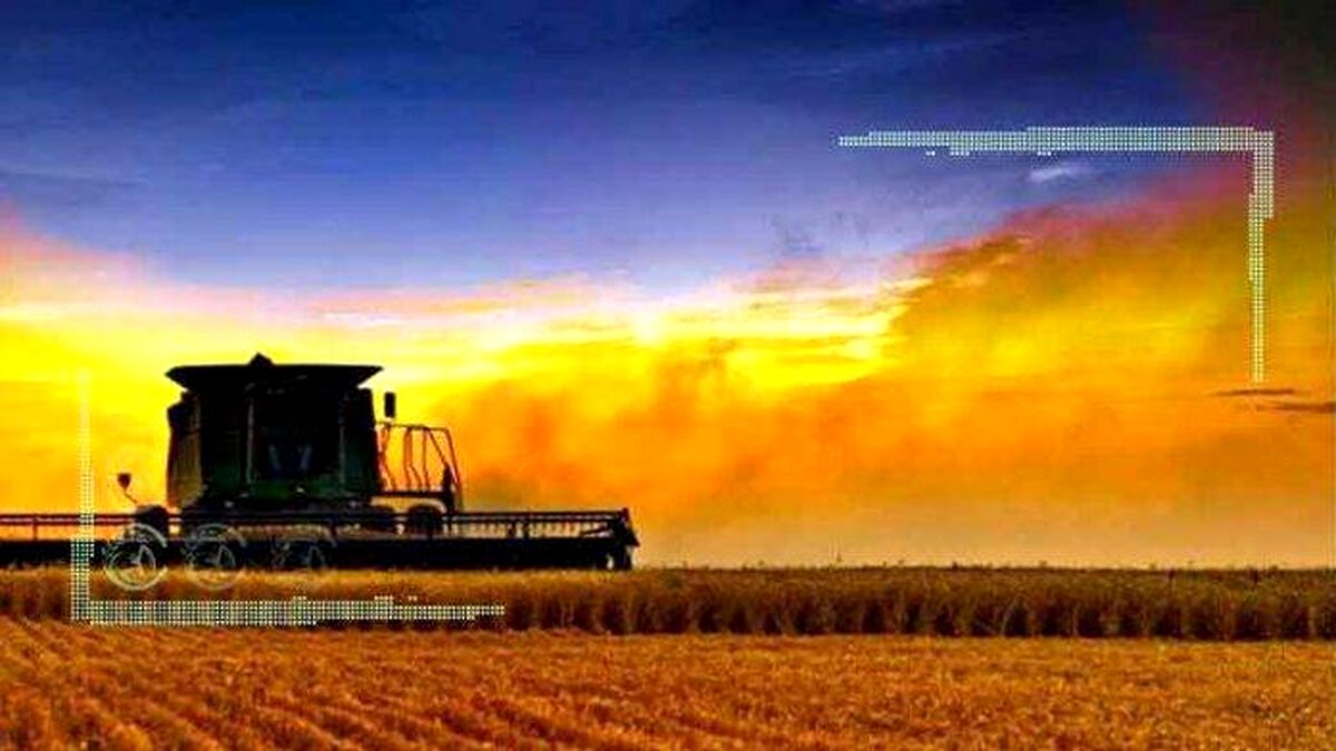 اهمیت کشت فراسرزمینی برای حفظ منابع آبی