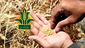 بیمه چتری برای تعدیل ریسک تولیدات کشاورزی