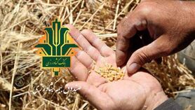 بیمه چتری برای تعدیل ریسک تولیدات کشاورزی