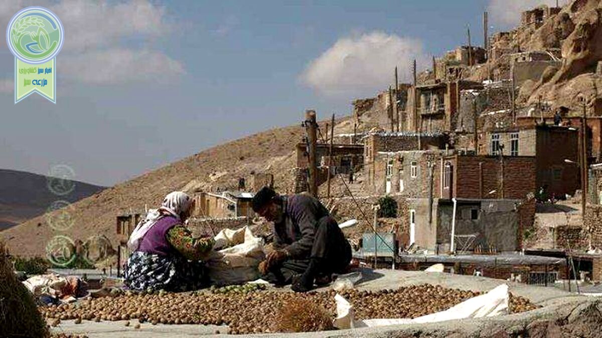 روستاها محور اصلی توسعه اقتصادی