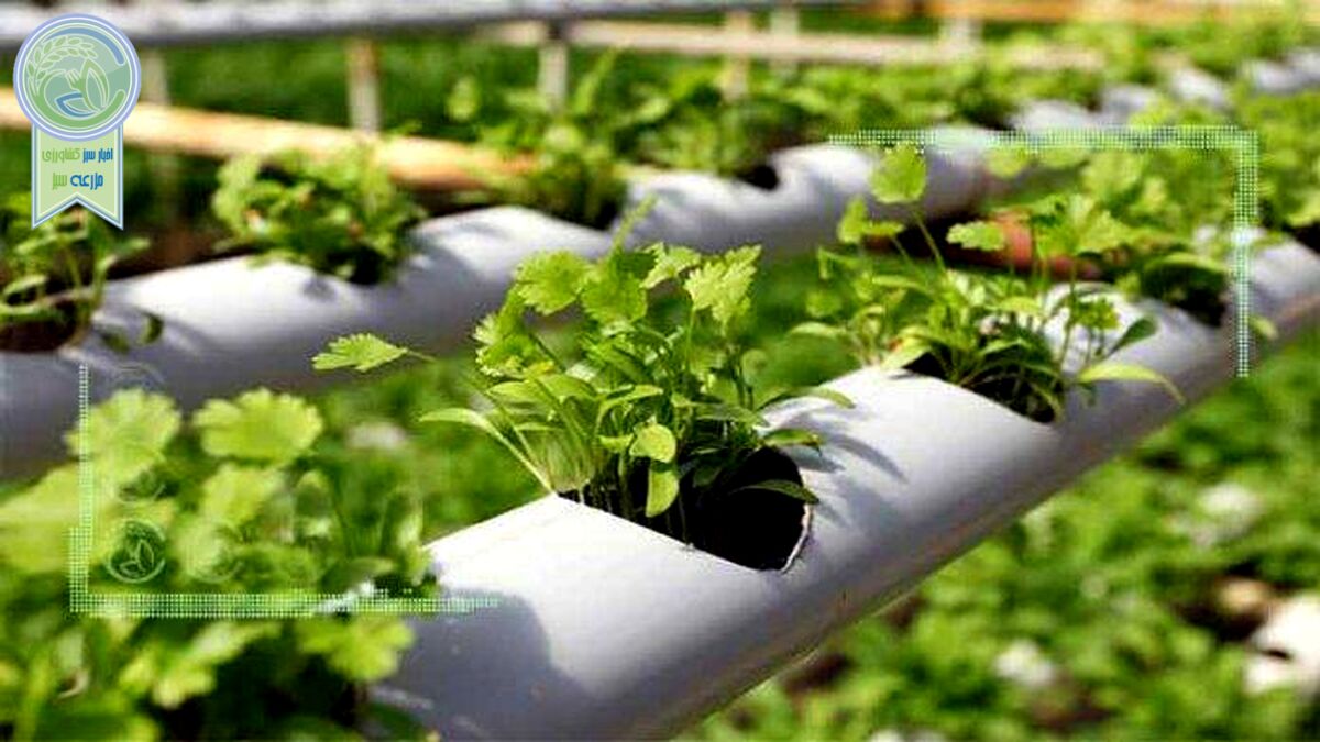 حل چالش‌های کشاورزی از مسیر شرکت‌های دانش‌بنیان