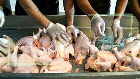 نرخ مصوب مرغ گوشتی کیلویی ۵۹ هزار و ۸۰۰ تومان
