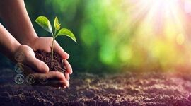 عنصر کلیدی زندگی گیاهان+پادکست