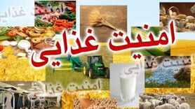 اهمیت امنیت غذایی کمتر از امنیت دفاعی نیست